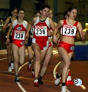 2003-lutz-susi