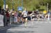 Salii_Weyer1