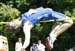 Irlbeck,Christopher1