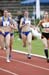 Liedl_Stelkens1