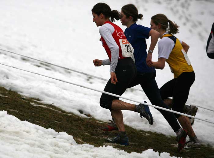 Hiller; Lutz; Svobodova-2