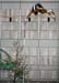 Tim Lobinger - 4
