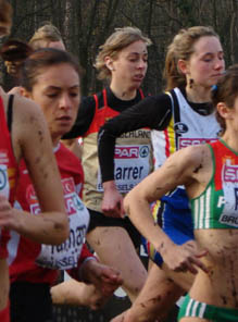 harrer_cross-em08_staeckerfoto