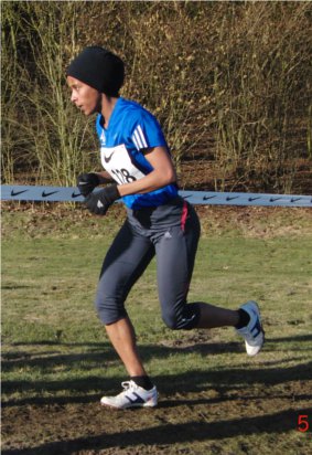 hoffman_fakja_dm_cross