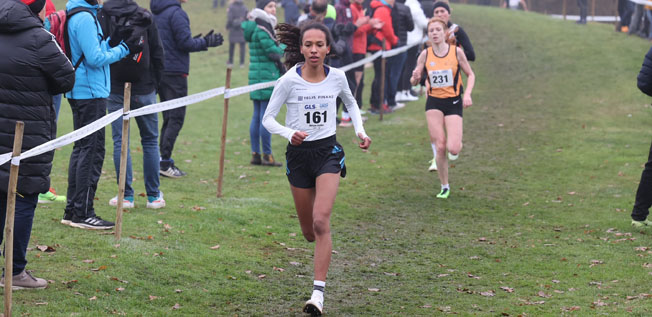 Dattke2 DM Cross22 Kiefnerfoto