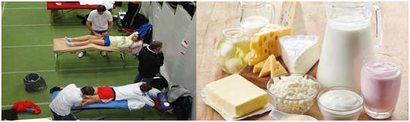 Regeneration4 Poehlitz Foto