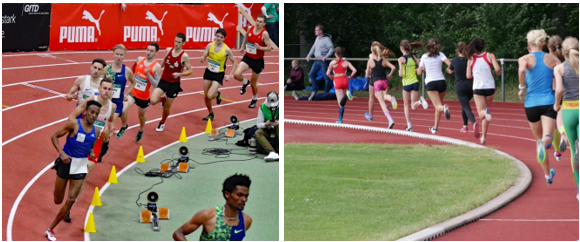 Fotos: Schneider / Pöhlitz Wochengestaltung1 Schneider Poehlitz Foto