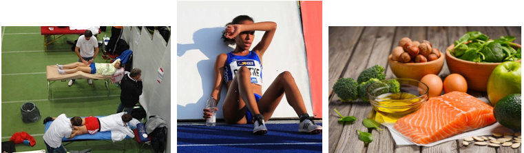 Regeneration1 Poehlitz Kiefner LCA Foto