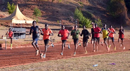 5000mpB6 Schneider Foto