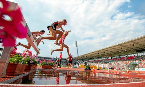 images/stories/coaching/3000mHindernis1_tiz-Foto