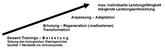 Abb: Schema: System – Kette Belastung – Regeneration - Anpassung 3000mNachwuchs3