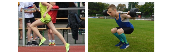 Basics121412 Schaffrath Foto