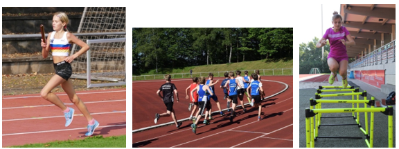 Basics12141 Schneider Poehlitz Rigal Foto