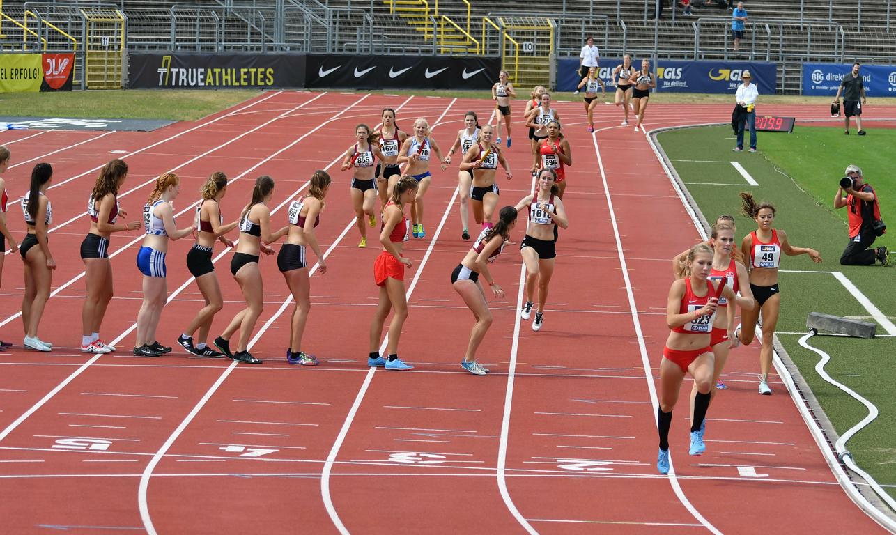 Handmaterial1 Schneider Foto