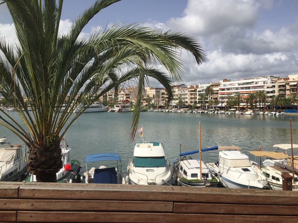 Regeneration4 Poehlitz Foto