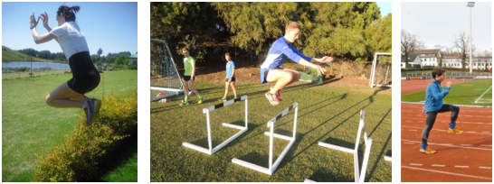 Sprungformen1 Karsch Poehlitz Ayadi Foto