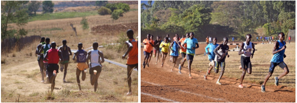 Zulangsam1 Milde Schneider Foto